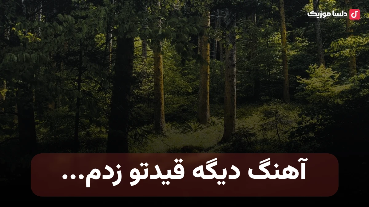  دیگه قیدتو زدم دیگه اون روی بدم صدای زن